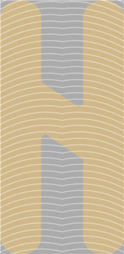 NBA and Team-QD 2202